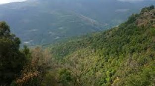 Les 10 coses que has de veure a Osona sí o sí
