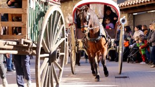Carros enganxats a animals