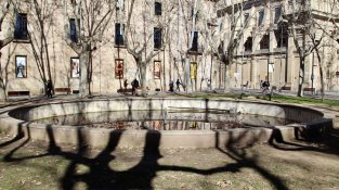 Un estudi urbanístic proposa substituir el 82% de la gespa del Parc Jaume Balmes per sauló