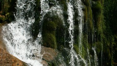 Càmping Puigcercós