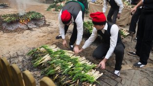 Calçots
