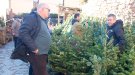 La Fira de l'Avet d'Espinelves ampliarà el nombre de parades i zones d'aparcament