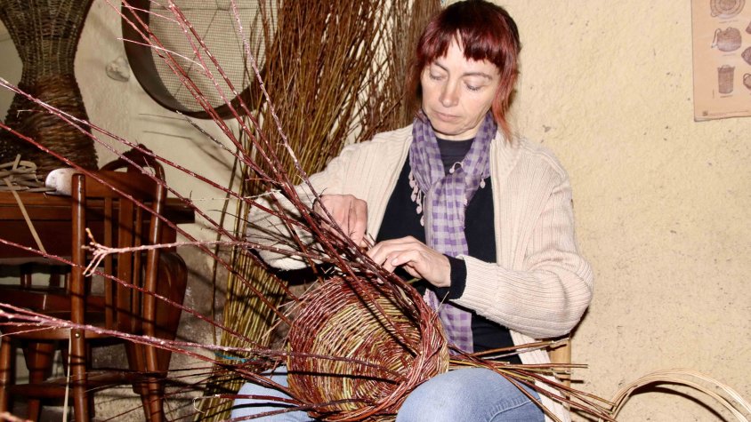 Alba Sors, cistellera establerta als Hostalets de Balenyà, que cultiva el seu propi vímet i boga