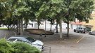 Polèmica a Torelló per les actuacions per dispersar els estornells de la plaça Doctor Fleming