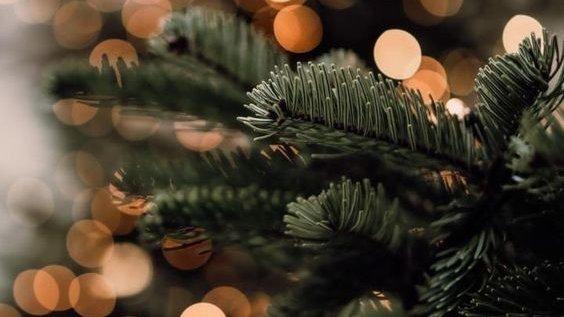 Festes, Fires i Mercats de Nadal a Espinelves 2025