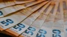 Operació policial destapa una xarxa de falsificació de bitllets de 50 € amb incidència a Torelló