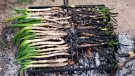 Tot el que has de saber sobre les calçotades