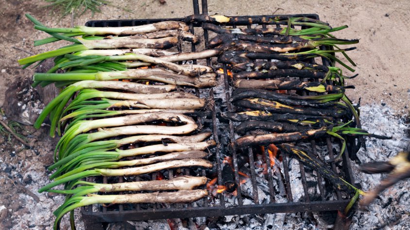 Calçots