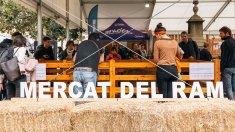 Vic es prepara per viure el Mercat del Ram, la gran cita del món rural a Osona