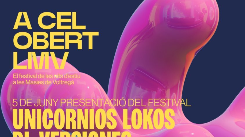 Programació del festival A Cel Obert.