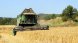 La campanya del cereal arrencarà la setmana vinent a Osona amb una collita marcada per la irregularitat