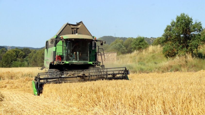 La campanya del cereal arrencarà la setmana vinent a Osona amb una collita marcada per la irregularitat