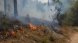 Controlat un petit incendi forestal a la zona de les Roques de l'Albareda