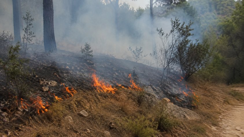 Controlat un petit incendi forestal a la zona de les Roques de l'Albareda